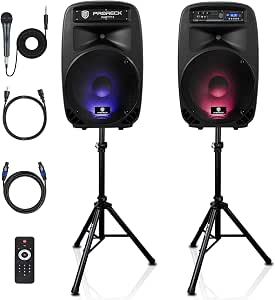 15" PA Speaker
